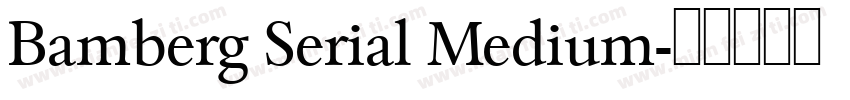 Bamberg Serial Medium字体转换